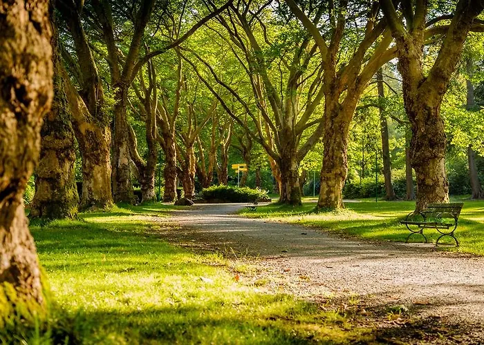 Отель Traiteur Les Ormes, The Originals Relais Барнвиль-Картере