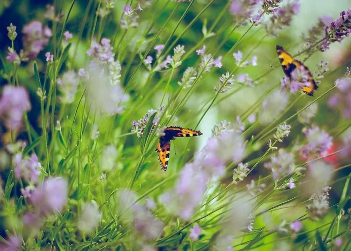 Traiteur Les Ormes, The Originals Relais 호텔 3*